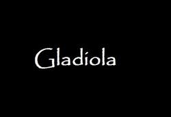Kwiaciarnia Gladiola, Lwówek Śląski godziny otwarcia