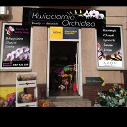 KWIACIARNIA ORCHIDEA, Słomniki godziny otwarcia