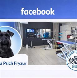 "Animal" Salon dla psów, Turek godziny otwarcia