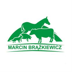 Przychodnia weterynaryjna, weterynarz Marcin Brążkiewicz. Leczenie, profilaktyka zwierząt, Brodnica godziny otwarcia