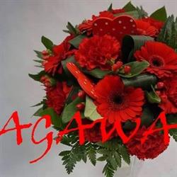 Kwiaciarnia AGAWA, Wydminy godziny otwarcia