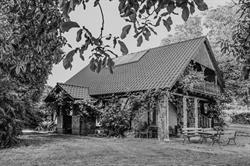 Winnica LIPKA WIELKA, Lipka Wielka godziny otwarcia