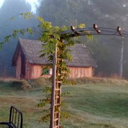 Gajowisko, Mielnik godziny otwarcia