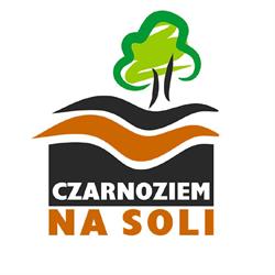 Lokalna Grupa Działania Czarnoziem Na Soli, Kruszwica godziny otwarcia