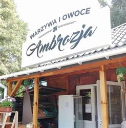 Warzywniak Złotokłos, godziny otwarcia