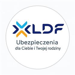 Unilink ubezpieczenia - Lubelski Dom Finansowy (LDF Sp. z o.o.), Stoczek Łukowski godziny otwarcia
