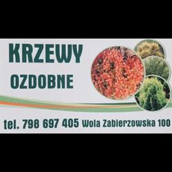 Gospodarstwo Rolne Danuta Proszek, Wola Zabierzowska godziny otwarcia