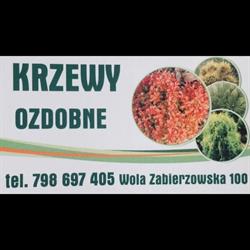 Gospodarstwo Rolne Danuta Proszek, Wola Zabierzowska godziny otwarcia