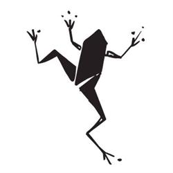 frog studio, Kielce godziny otwarcia