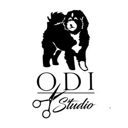 Studio Odi Strzyżenie & pielęgnacja psa Psi fryzjer, Tarnobrzeg godziny otwarcia