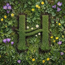Hamilton Conference Hotel SPA & WELLNESS, Świnoujście godziny otwarcia