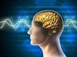Neuroactive, Siemianowice Śląskie godziny otwarcia