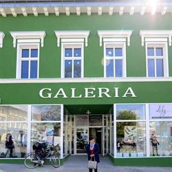 Galeria Handlowa, Lubliniec godziny otwarcia