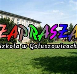 PUBLICZNA SZKOŁA PODSTAWOWA W GOŁUSZOWICACH, Głubczyce godziny otwarcia