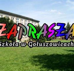 PUBLICZNA SZKOŁA PODSTAWOWA W GOŁUSZOWICACH, Głubczyce godziny otwarcia