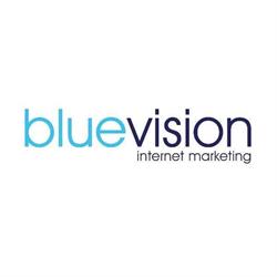 Blue Vision Internet Marketing - pozycjonowanie SEM / SEO, Blizne Łaszczyńskiego godziny otwarcia