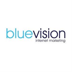 Blue Vision Internet Marketing - pozycjonowanie SEM / SEO, Blizne Łaszczyńskiego godziny otwarcia