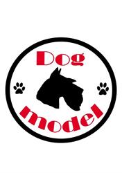 Dog model Malbork - Salon pielęgnacji psów, godziny otwarcia