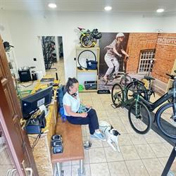Rowery na Salwatorze - Bikesense, Kraków godziny otwarcia