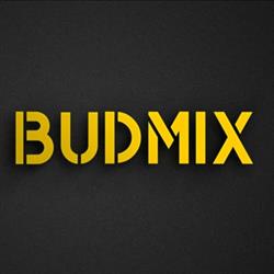 Budmix - Hurtownia Remontowo Budowlana - Rokietnica, godziny otwarcia