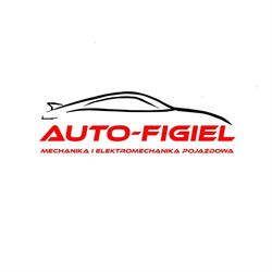 Auto-Figiel Jarosław Figiel, Borkowo godziny otwarcia
