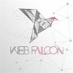 Web Falcon Sp. z o. o., Kraków godziny otwarcia