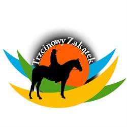 Agroturystyka Trzcinowy Zakątek - noclegi od 60 zł Wielkopolska - rajdy konne - strzelnica - kajaki, Wijewo godziny otwarcia