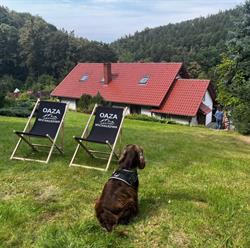 Pokoje Gościnne Oaza, Jugowice godziny otwarcia