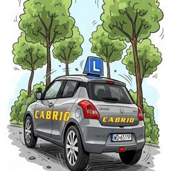 Cabrio Ośrodek Szkolenia Kierowców, Hrubieszów godziny otwarcia