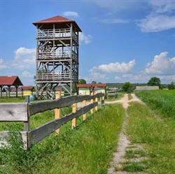 Gospodarstwo Agroturystyczne Rybakówka, Krzewent godziny otwarcia