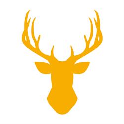 My Deer Apartment, Zakopane godziny otwarcia