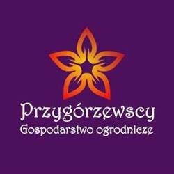 Przygórzewscy Gospodarstwo Ogrodnicze, Trzebownisko godziny otwarcia