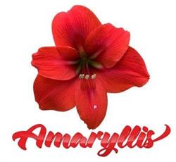 Amaryllis, Uniejów godziny otwarcia