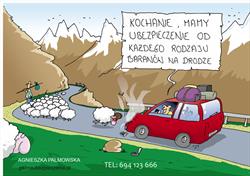 UBEZPIECZENIA AGA PALMOWSKA, Gdów godziny otwarcia