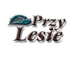 Przy Lesie, Międzywodzie godziny otwarcia