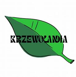 Szkółka drzew ozdobnych i sadzonek leśnych - Krzewolandia, Pniewy godziny otwarcia