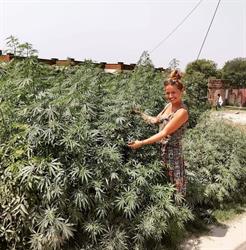 Papa Weed Poland, Źródła godziny otwarcia