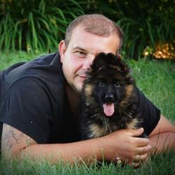 Hodowla Owczarków Niemieckich Długowłosych WOLF HUNTER, Dobroń godziny otwarcia