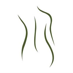 Avocado Studio Masażu, Jasło godziny otwarcia