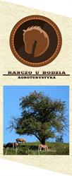 Agroturystyka Ranczo u Bodzia, Gryfów Śląski godziny otwarcia