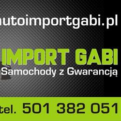 Auto Import Gabi, Sosnowiec godziny otwarcia
