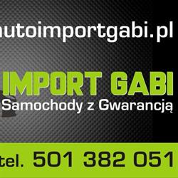 Auto Import Gabi, Sosnowiec godziny otwarcia
