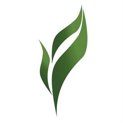 QZ Solutions Sp. z o.o., Opole godziny otwarcia