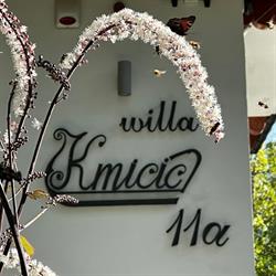 Willa Kmicic, Zakopane godziny otwarcia