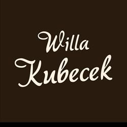 Willa Kubecek, Zakopane godziny otwarcia