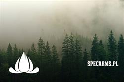 SpecArms, Siedlce godziny otwarcia