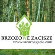 Agroturystyka Brzozowe Zacisze, Swornegacie godziny otwarcia