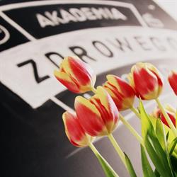 Akademia Zdrowego Wyglądu - Trener Personalny, Gliwice godziny otwarcia