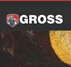 GROSS TEAM Sp. z o.o., Świdnica godziny otwarcia