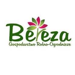 Gospodarstwo Rolno-Ogrodnicze Krzysztof Bereza, Węgrów godziny otwarcia